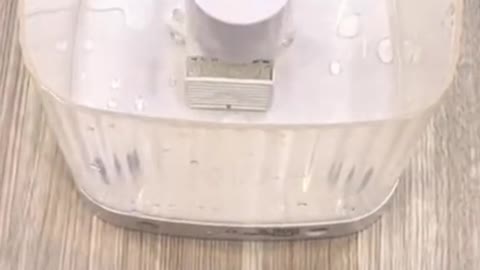 Water dispenser