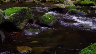 child of nature Meditation - Waterfall short Video