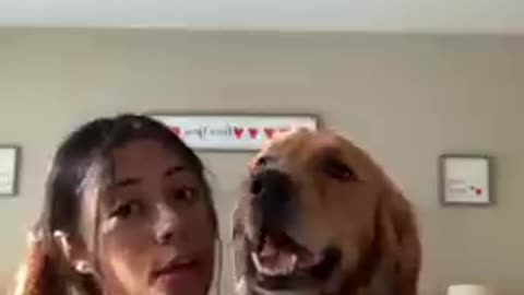 Funny Baby Dog videos