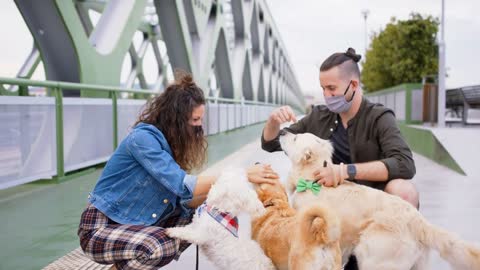 Man and woman with face masks and three pet dogs outdoors in city, coronavirus concept