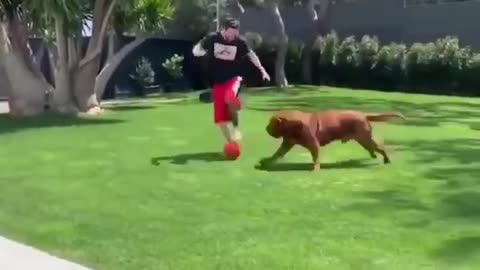 Messi playing soccer with his son and dog
