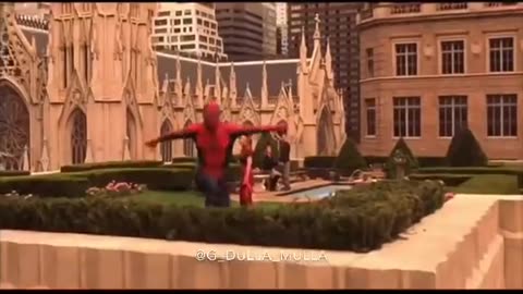 If Spider Man Was Muslim