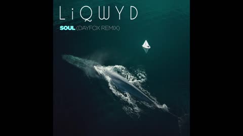 LiQWYD - Soul (Dayfox Remix)