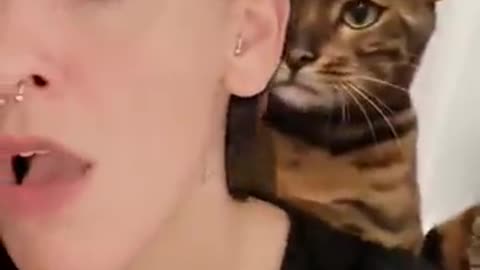 A Cat Slapped his owner "OMG" 😱😹