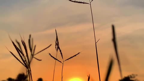 Sunset in Himalayas