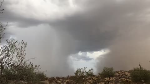 Dust Storm Meets Rain Storm