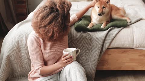 Dog with coffee.