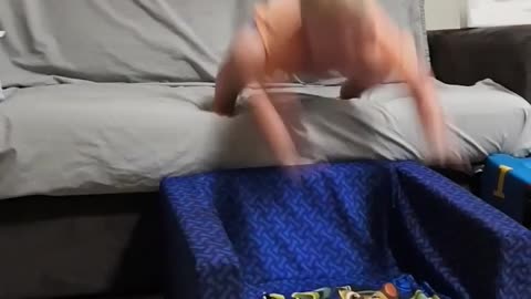 Toddler boy jumps off couch onto chair and faceplants