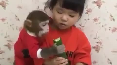 Little monkey eating cucumber with a little girl so cute