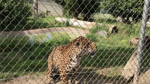 California safaripark