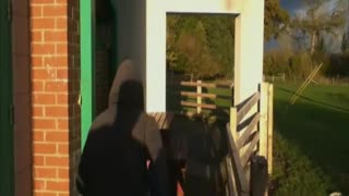 Teen's Parkour Skills Fail Him At The Wrong Moment