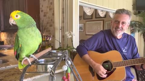 This bird singing is going to melt your heart, listen to this