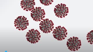[Video] ¿Todo el coronavirus del mundo cabe en una lata de gaseosa?