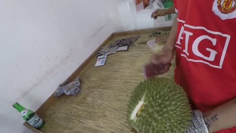 Durian cutting skill | malaysia local fruit durian | king of fruit | 马来西亚榴莲 | 开榴莲的技巧