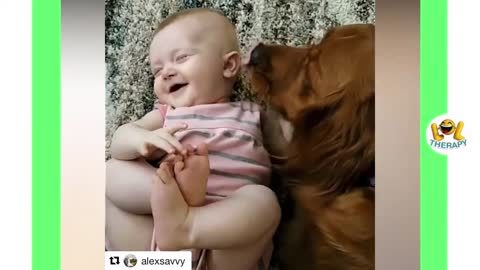 Funny Babies Laughing Hysterically at Dogs Compilation - dogs and babies laughing