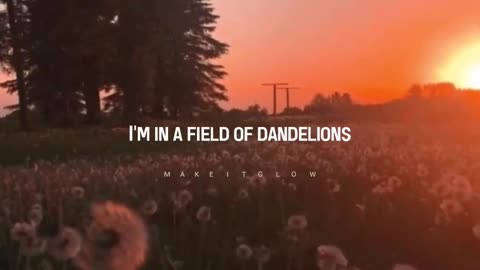 roth B dandelions lyrics.....