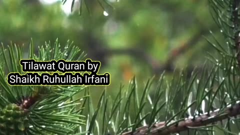 Quran recitation best voice shaikh Ruhullah Irfani