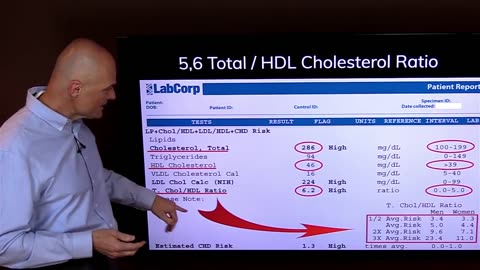 Why Doctors are Wrong about CHOLESTEROL