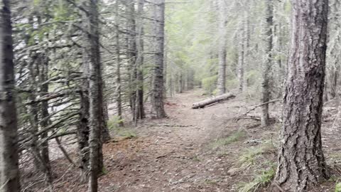 Hiking around the 13-Mile Timothy Lake Loop – Mount Hood – Oregon – 4K