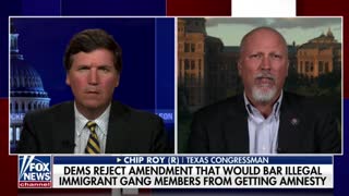 Rep. Chip Roy weighs in on the US-Mexico border crisis