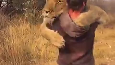 A very intimate embrace between the lion and its owner. This is love😍😍