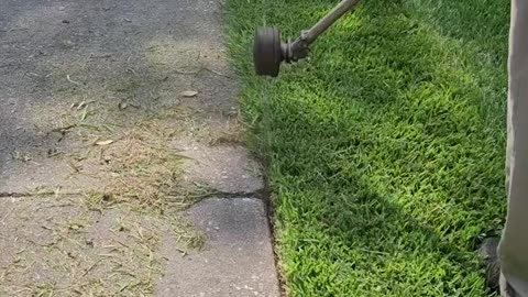 Lawn Edging. #trending