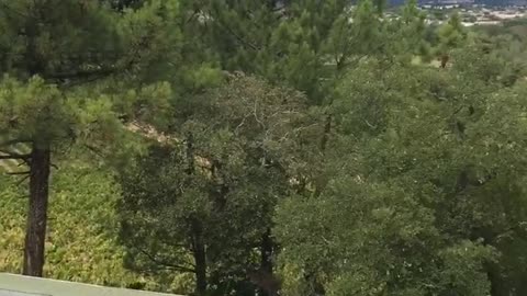 Guy in blue shorts laying on top of roof