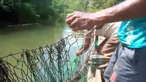 SRI Lankan 🇱🇰 fishing traditional best cast net fishing