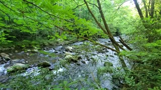 Smoky Mountain hiking