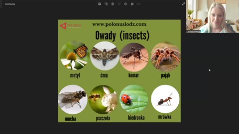 Learn Polish Podcast #398 Owady - Insects
