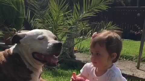 Cute baby try’s to play few with her pet dog