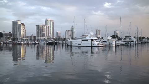 Cityscape Yacht Basin St Petersburg Florida