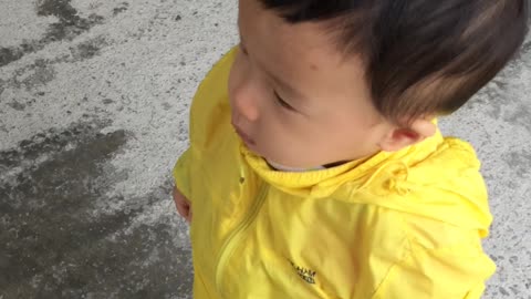 A child who feeds sheep and is surprised to see sheep approaching.