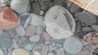 Smiling Rock Found In Water
