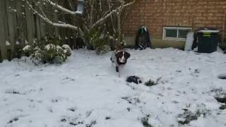 TUBBY LOVES SNOW FLAKES