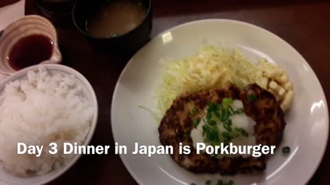 Day 3 Porkburger in Japan, not hamburger for $6.50 No tip!