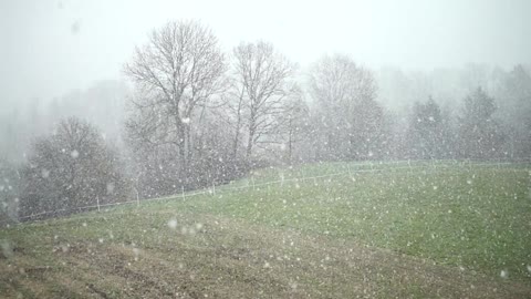 SNOWFLAKES FALLING BEAUTIFULLY