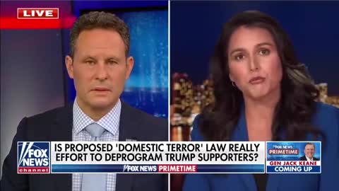 Tulsi Gabbard: Proposed Domestic Terrorism Laws Directly Undermine Freedom