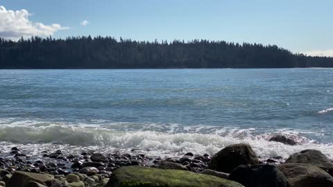 Sunny day at the beach