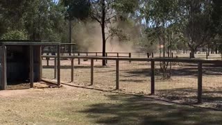 Backyard Dust Whirlwind