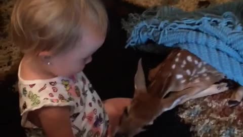 Fawn Suckles On Baby Girl's Fingers In Family Living Room