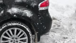 Car Park Thief Gets Snowed In