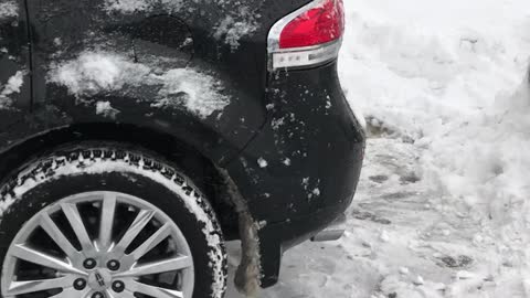 Car Park Thief Gets Snowed In