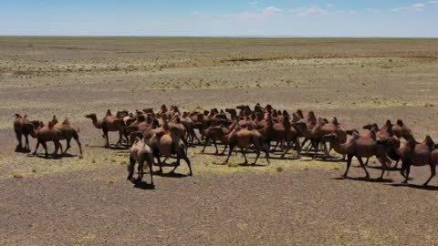 Beautifull Mongolia HD