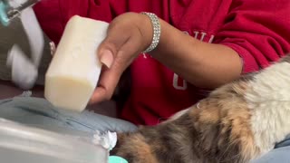 ASMR SOAP SCRAPING 🧼⚠️: 15 minutes of soap scraping serenity| 🐈 Oddly satisfying