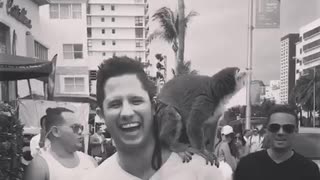 Monkey jumps onto guys back in Miami!