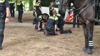 Dutch police arrest protester during farmers convoy