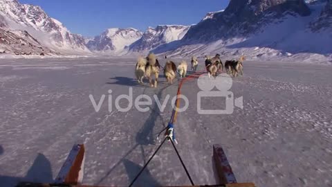 POV from a dogsled heading across the Arctic tundra