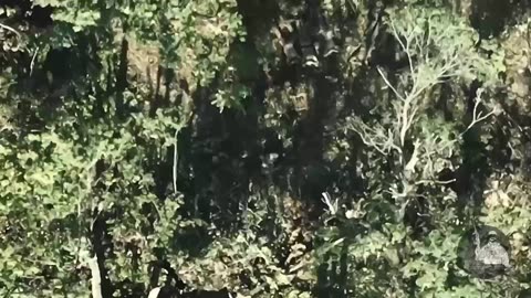 Ukrainian Soldiers Clearing Russian Trench Complex