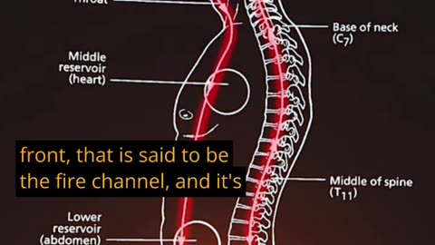 The Microcosmic Orbit 💫 Sexual Energy Circulation 🔥💥